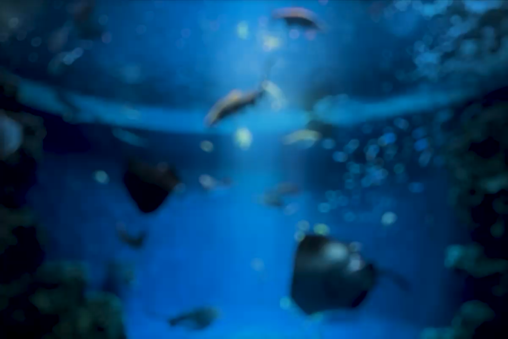 須磨シーワールド